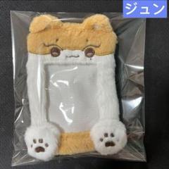 2025年最新】Seventeen ジュン ぬいぐるみ マスターの人気
