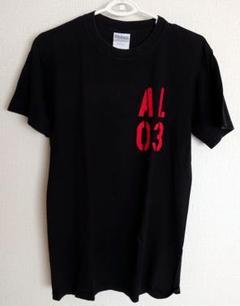 【貴重★ライブグッズ】アヴリル・ラヴィーン Tシャツとタオルセット 未使用】アヴリルラヴィーン 2008 ツアーグッズ T シャツと