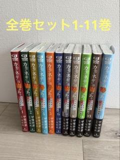 カモのネギには毒がある 1～10巻 全巻セット カモのネギには毒がある 10 加茂教授の人間経済学講義 (ヤング