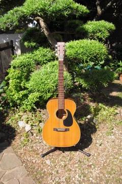常田大希の愛機 70sモーリスF 入荷しました 弾きやすい000 その4