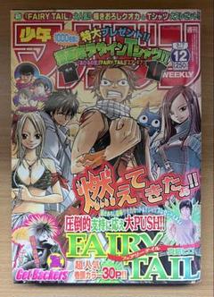 週刊少年マガジン2007年12号