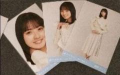 乃木坂46 生写真 エクリュ 遠藤さくら コンプ