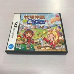 牧場物語 ようこそ!風のバザールへ