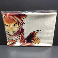FAIRY TAIL2 フェアリーテイル ナツ B2布ポスター 新品未開封C