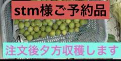 クール発送❣️函館近郊産青梅6キロサイズM以上混合 クール発送❣️函館近郊産青梅6キロサイズM以上混合 クール発送❣️
