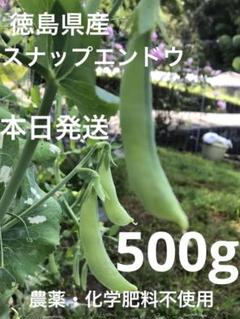 スナップエンドウ　500g 農薬・化学肥料不使用　徳島県産 スナップエンドウ 500g 農薬・化学肥料不使用 徳島県産 - メルカリ