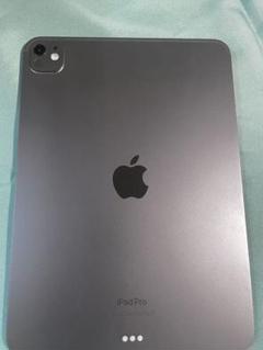 青団子さん専用。Apple iPad Pro スペースグレー 数回使用 青団子さん専用。Apple iPad Pro スペースグレー 数回使用