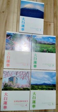 2025年最新】大白蓮華 冊の人気アイテム - メルカリ