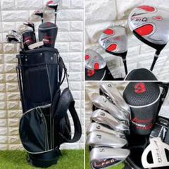 WORLD EAGLE メンズ初心者向け11本セット　ゴルフクラブ