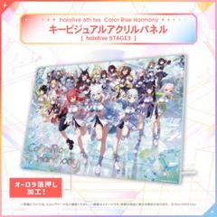 ホロライブ expo 2025 キービジュアルアクリルパネル セット hololive SUPER EXPO 2025 キービジュアル ポスターセット 3期生
