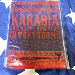 KARA 2013 ハッピーニューイヤーin TOKYO DOME KARASIA 2013 HAPPY NEW YEAR in TOKYO DOME : KARA | HMV&BOOKS