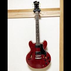 FUJIGEN(FGN) Masterfield MSA-HP/AS (Antique Sunburst