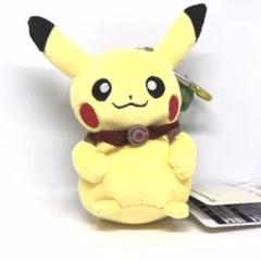 ポケモン ピカチュウ ぬいぐるみ アドベンチャー