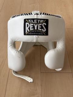 Full Face Boxer Head Guard – ISAMI Japan