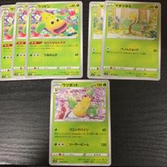 マダツボミ　ウツドン　ウツボットのサムネイル