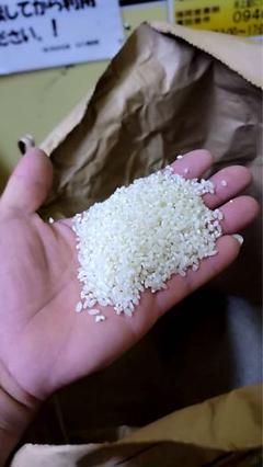 20㎏ グズ米 令和6年産 くず米 25kg えさ米 エサ米 クズ米 餌米 飼料米