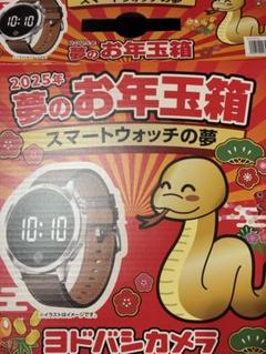 ヨドバシカメラ　スマートウォッチの夢2025のサムネイル