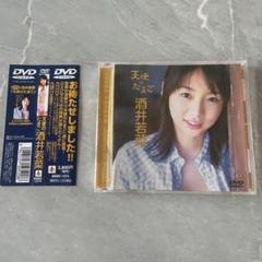 酒井若菜/天使のたまご