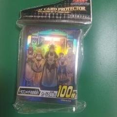 2025年最新】ドラゴンメイドのお見送り スリーブの人気アイテム