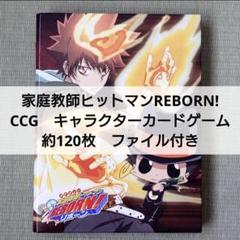 家庭教師ヒットマンREBORN！ CCG 大量 箔押し UR ファイル付き