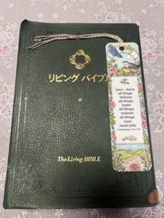 【本物新品保証】 イエスを示す箇所を青字でマークした聖書 Jesus Centered Bible 洋書