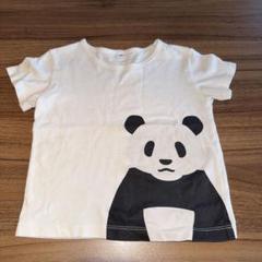【最後１枚】アドベンチャーワールド　ハッピーパンダファミリーTシャツ　Sサイズ アドベンチャーワールド パンダファミリー Tシャツ Sサイズ