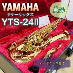 2025年最新】YTS-24IIの人気アイテム - メルカリ