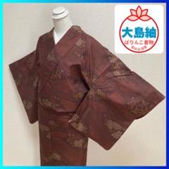 極美品、新品未使用、大島紬、八掛、身丈159.5 2025年最新】大島紬 八掛の人気アイテム - メルカリ