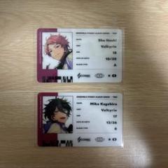 Valkyrie TRIP idカード