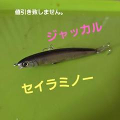 ジャッカル　セイラミノー70タイプ不明のサムネイル