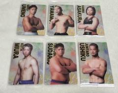 【匿名配送】RIZIN ウエハース メタリックプラカード 6枚セット