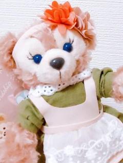 ぬいぐるみバッジ！東京ディズニーシー“ダッフィー&フレンズの