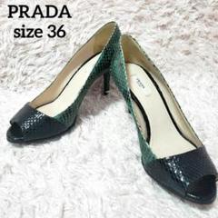 PRADA プラダ 36 23.0 バイカラー パイソン スネークパンプス 美