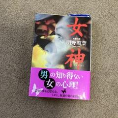 女神 : 長編小説