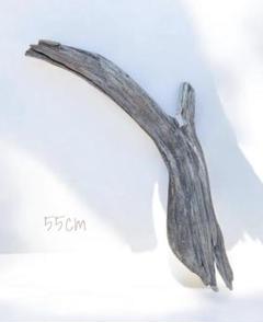自然流木55cm　おしゃれ　インテリア　雑貨　オブジェ　ハンドメイド　観葉植物