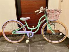 2025年最新】ダイワサイクル 子供用自転車・ジュニアシティの