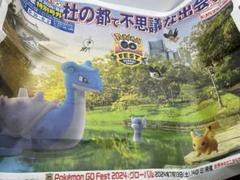 ポケモンGO FEST2024仙台　限定パーカーＬサイズ　新品未使用品 ポケモンGO FEST2024仙台 限定パーカーLサイズ 新品未使用品