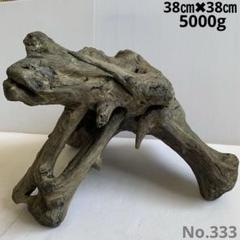 アク抜き済み流木【831】セール 楽天市場】流木 アク抜き 済みの通販