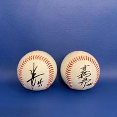 プロ野球サインボール レプリカ 松井秀喜 高橋由伸