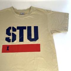 【古着】STUSSY ステューシー Lサイズ Tシャツ 半袖 ベージュ