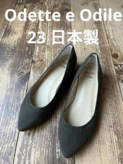 オデットエオディール　パンプス　23センチ　新品未使用 ◇ ◎ Odette e Odile オデット エ オディール UNITED ARROWS