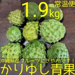 沖縄産アテモヤ/インドナツメ/グアバ/タンカン/ＡバナナＢ品計4.4kg【常温① 農家産直特価品！ 国産バナナ3種食べ比べ！ 沖縄本島北部産