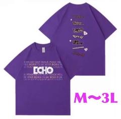 BTS ジン ECHO Tシャツ Lサイズ ☆BTS ジン ECHO Tシャツ XLサイズ ☆トレカ無し☆ - メルカリ