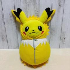 ポケモン　ロゼリア　ぬいぐるみ　アミューズメント専用景品　２００４年　コロまる編 ポケモンロゼリアぬいぐるみアミューズメント専用景品2004年