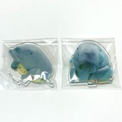 鳥羽水族館⭐️コレクションカード⭐️ジュゴン⭐️セレナ⭐️レア２枚セット 鳥羽水族館 コレクションカード コレカ ノーマルカード 全72種