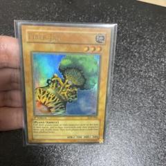 遊戯王 ファイバーポット 北米版1st 色褪せ faded