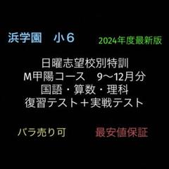 2025年最新】浜学園 小6 最高レベル特訓 テキストの人気アイテム