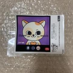 BOYNEXTDOOR BBNEXDO プネクド ポーチ CATBBI ソンホ 2025年最新】BBNEXDO ソンホの人気アイテム - メルカリ