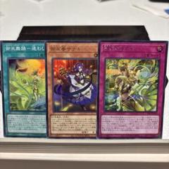 遊戯王　御巫　シク　シークレット　セット　11種11枚　みかんこ ◉シークレットレア◉御巫！みかんこシークレットセット - メルカリ