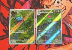 シ*ギ様 ポケカ151 フシギダネ、フシギソウ、フシギダネ連番（PSA10） ポケカ151 フシギダネ、フシギソウ、フシギダネ連番（PSA10）